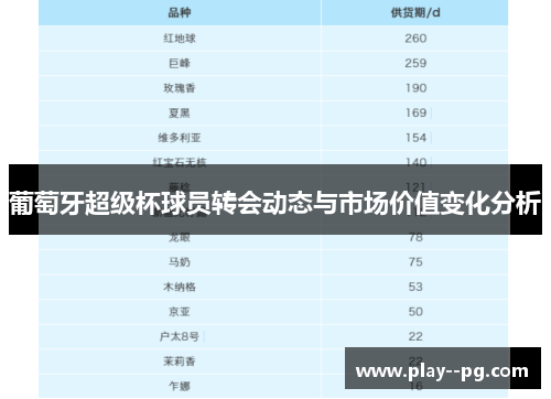 葡萄牙超级杯球员转会动态与市场价值变化分析